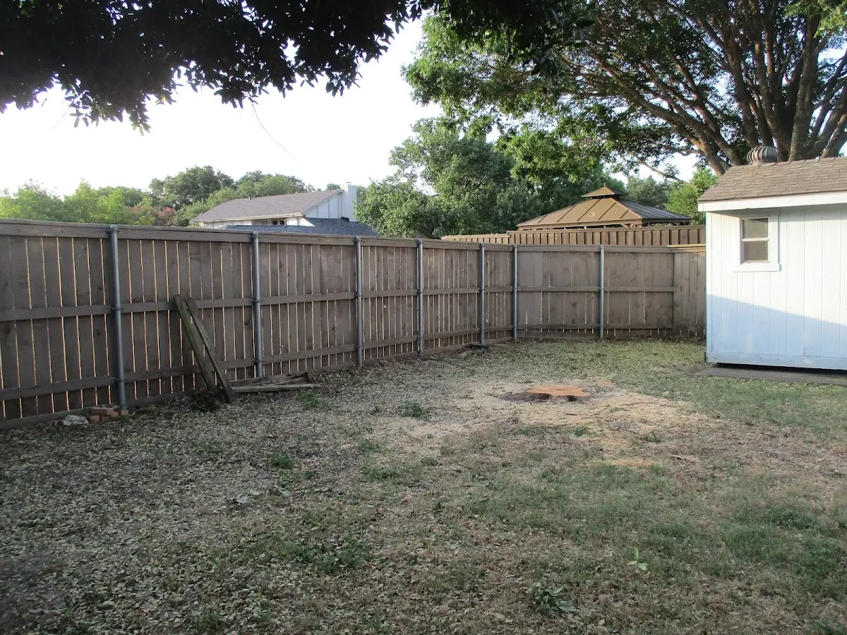 Cleared yard after professional tree removal in Fort Supply